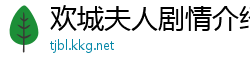欢城夫人剧情介绍